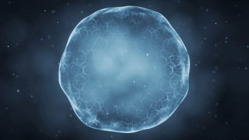 新手入局，生物科技代理之路：适合还是挑战？**