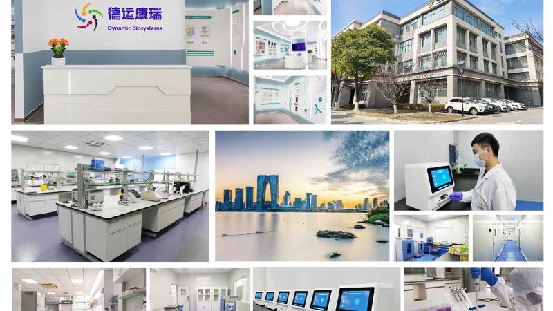 啤酒酿造工业酶：揭秘其报价背后的技术考量