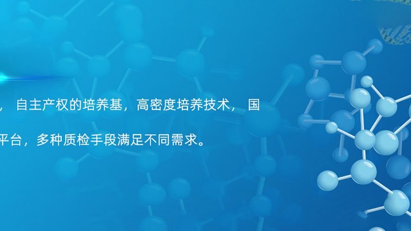 PCR检测费用揭秘：影响价格的关键因素