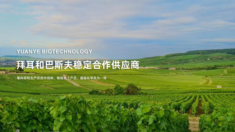 CRS优化代理加盟：揭秘医药研发背后的幕后推手