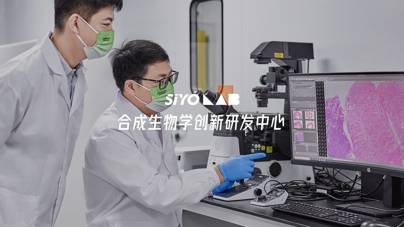 无血清培养基储存：关键细节决定实验成败**