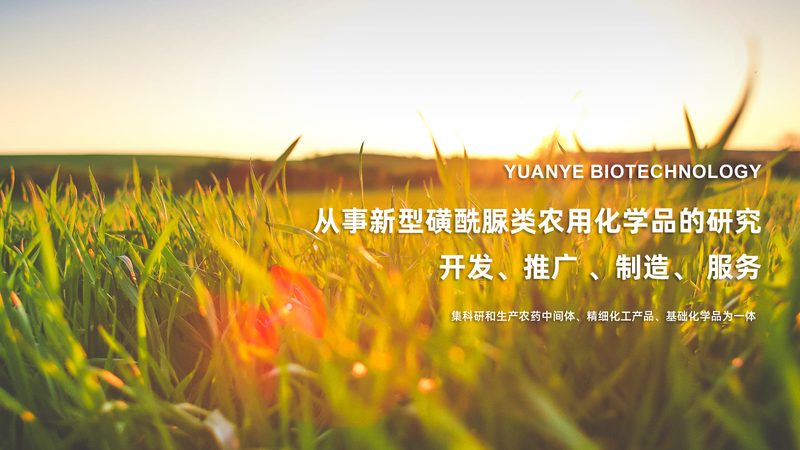 氨基酸原料批发：揭秘其背后的技术奥秘与应用场景