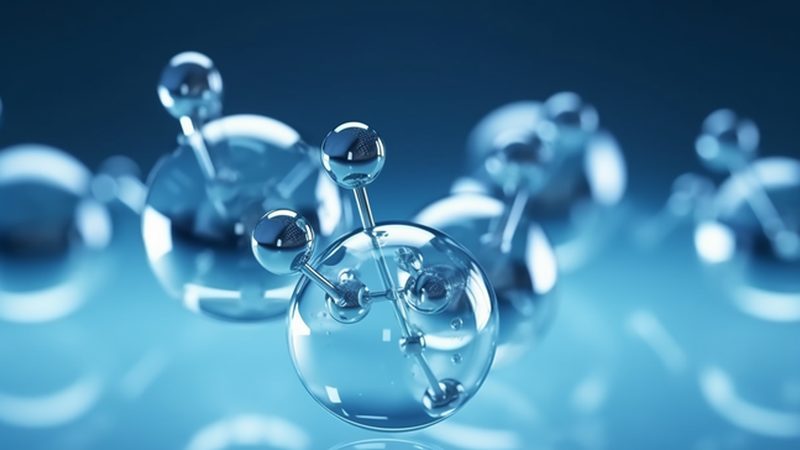 环保型生物科技饲料：绿色养殖的未来之路**