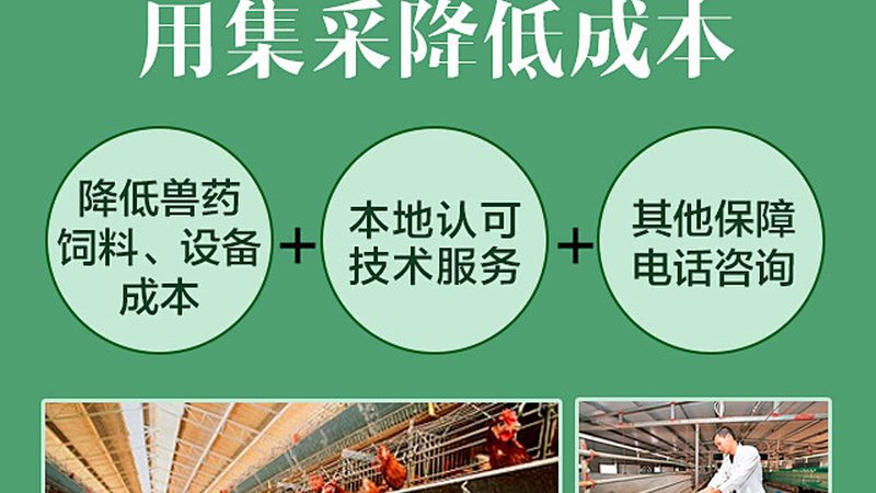 新手入局，生物科技代理之路：适合还是挑战？**