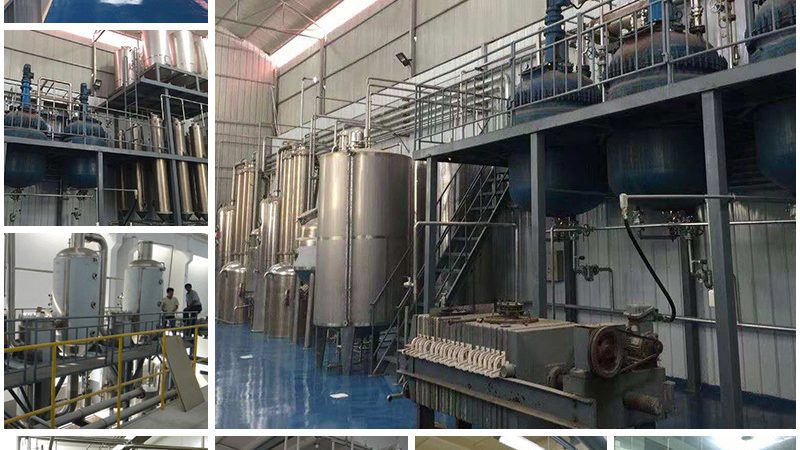 生物科技产品分类解析：探索多样化的应用场景