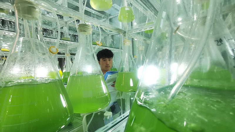 单道移液器规格参数揭秘：如何选择合适的实验室助手**
